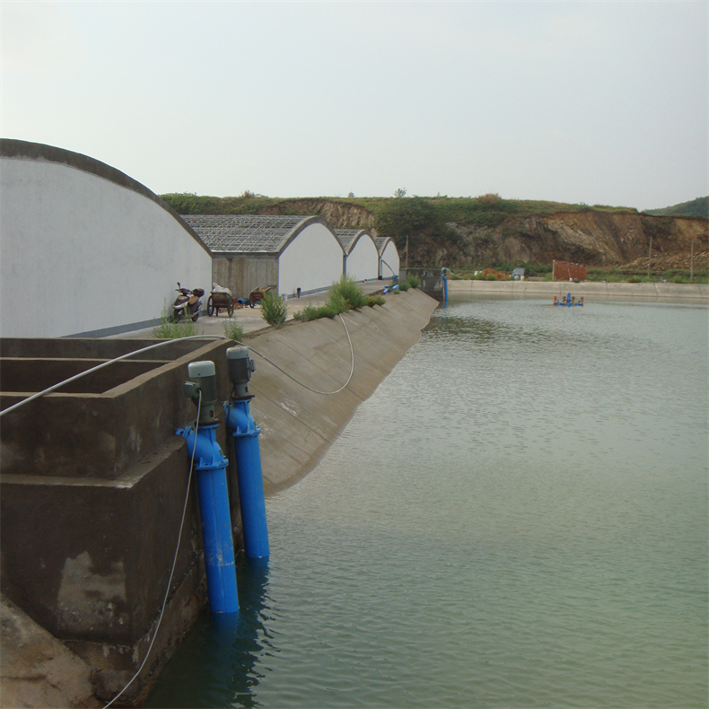 DSC03715.JPG
