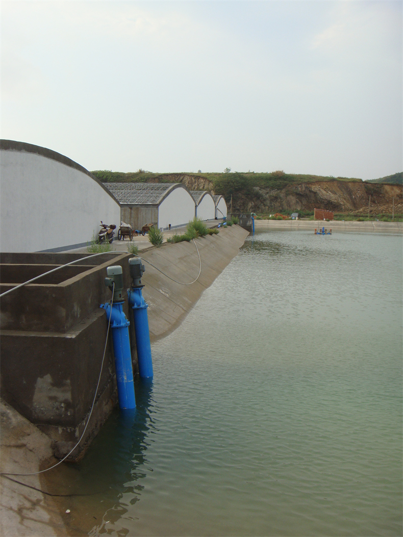 DSC03715 - 復制.JPG